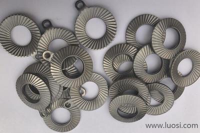 領(lǐng)導(dǎo)關(guān)懷促發(fā)展 廣東省委、陽(yáng)江市委領(lǐng)導(dǎo)蒞臨史特牢金屬緊固件摩托車(chē)項(xiàng)目考察指導(dǎo)